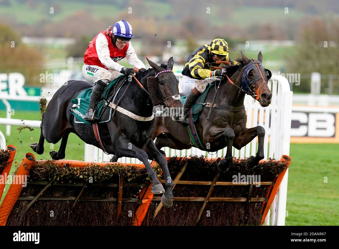 Sul lato cieco (rosso) guidato da Nico de Boinville chiaro l'ultimo a vincere il Paddy Power Games handicap hurdle durante il Cheltenham November Meeting 2020 presso l'ippodromo di Cheltenham. Foto Stock