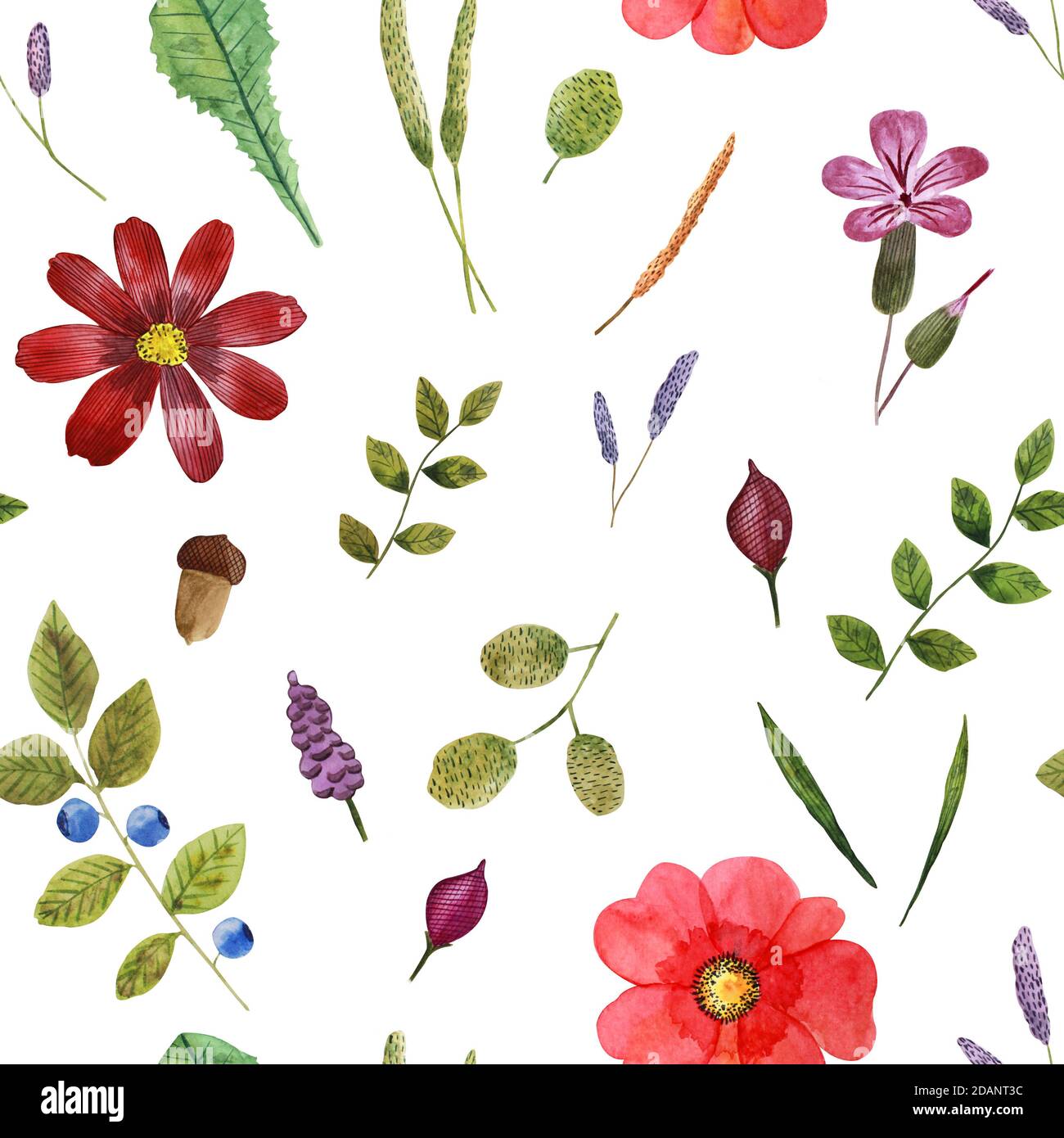 Colorato motivo senza giunture con erbe e fiori di prato acquerello Foto Stock