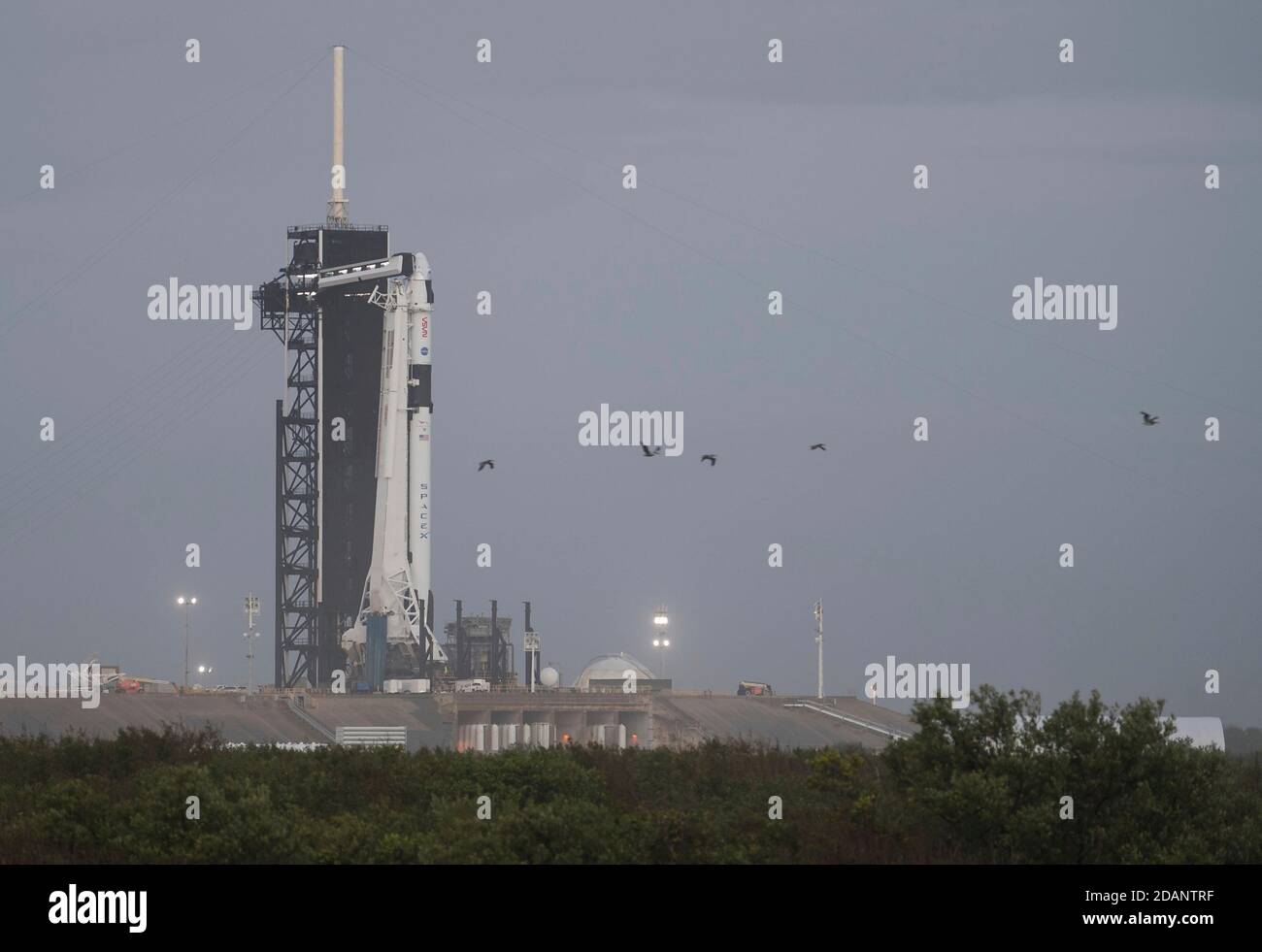 Il razzo SpaceX Falcon 9 che trasporta la navicella spaziale Crew Dragon a bordo del complesso di lancio 39A al Kennedy Space Center 10 novembre 2020 a Cape Canaveral, Florida. La missione della NASA SpaceX Crew-1 è la prima missione di rotazione dell'equipaggio della SpaceX Crew Dragon alla Stazione spaziale Internazionale. Foto Stock