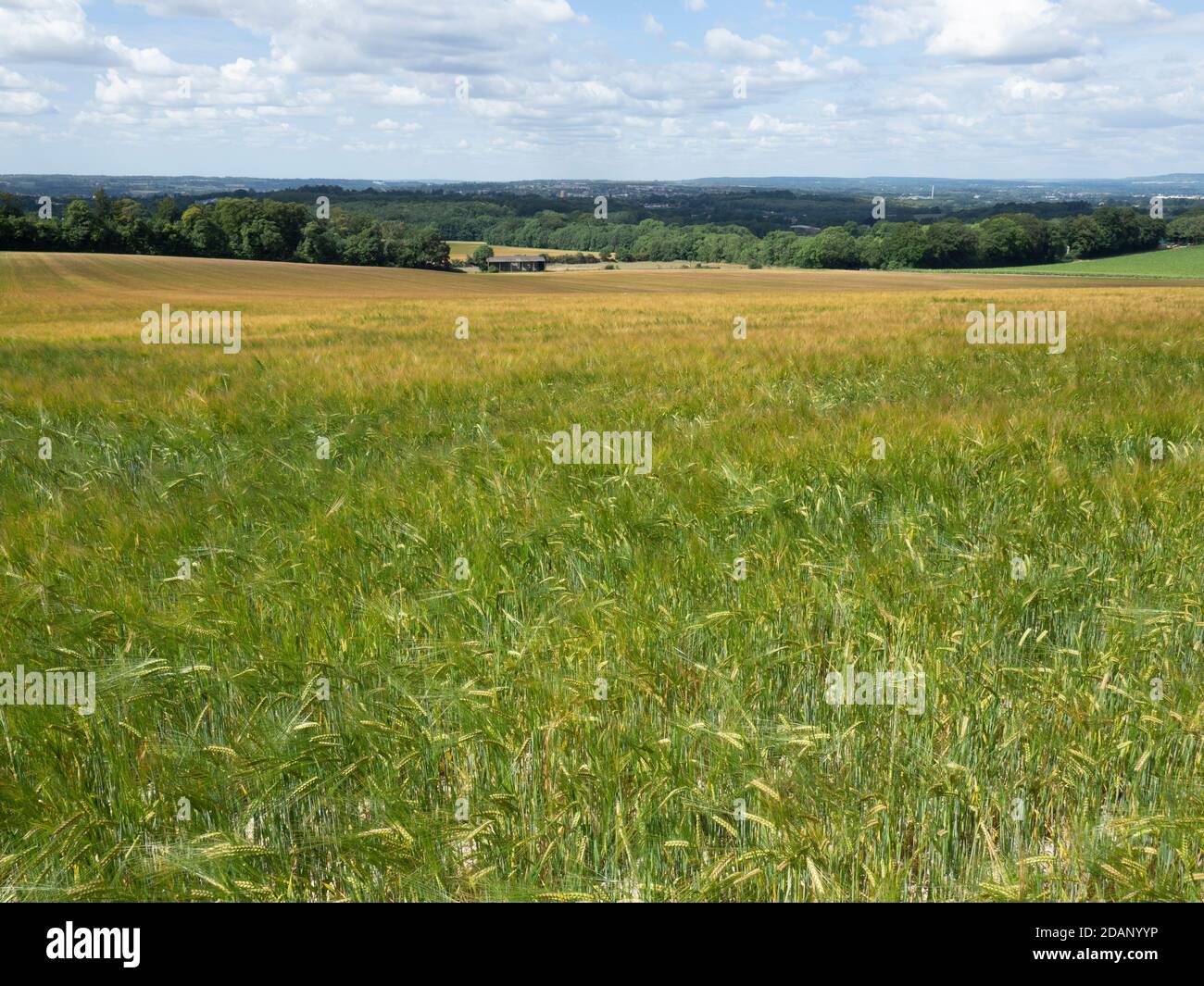 Aeroporto di Barley Field, Kent UK Foto Stock