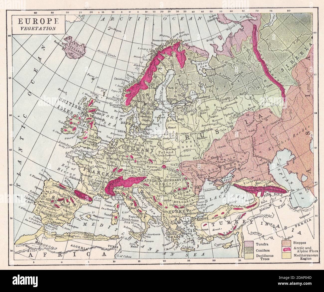 Mappa d'epoca della vegetazione europea del 1900. Foto Stock