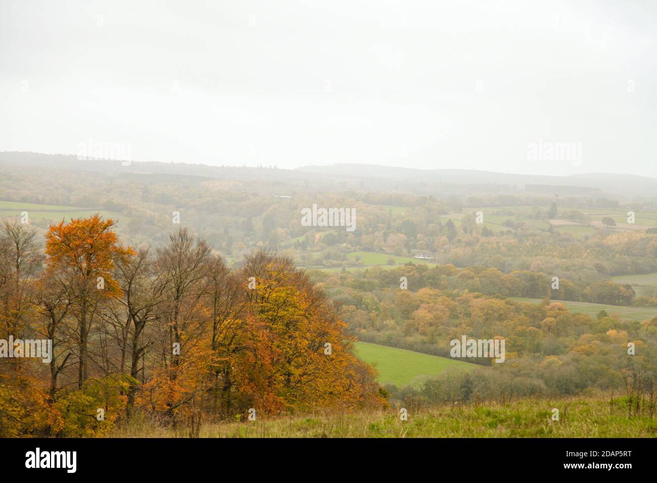 Una vista panoramica da Denbies Hillside, Nisty, Surrey Hills, Inghilterra, Regno Unito, autunno 2020 Foto Stock