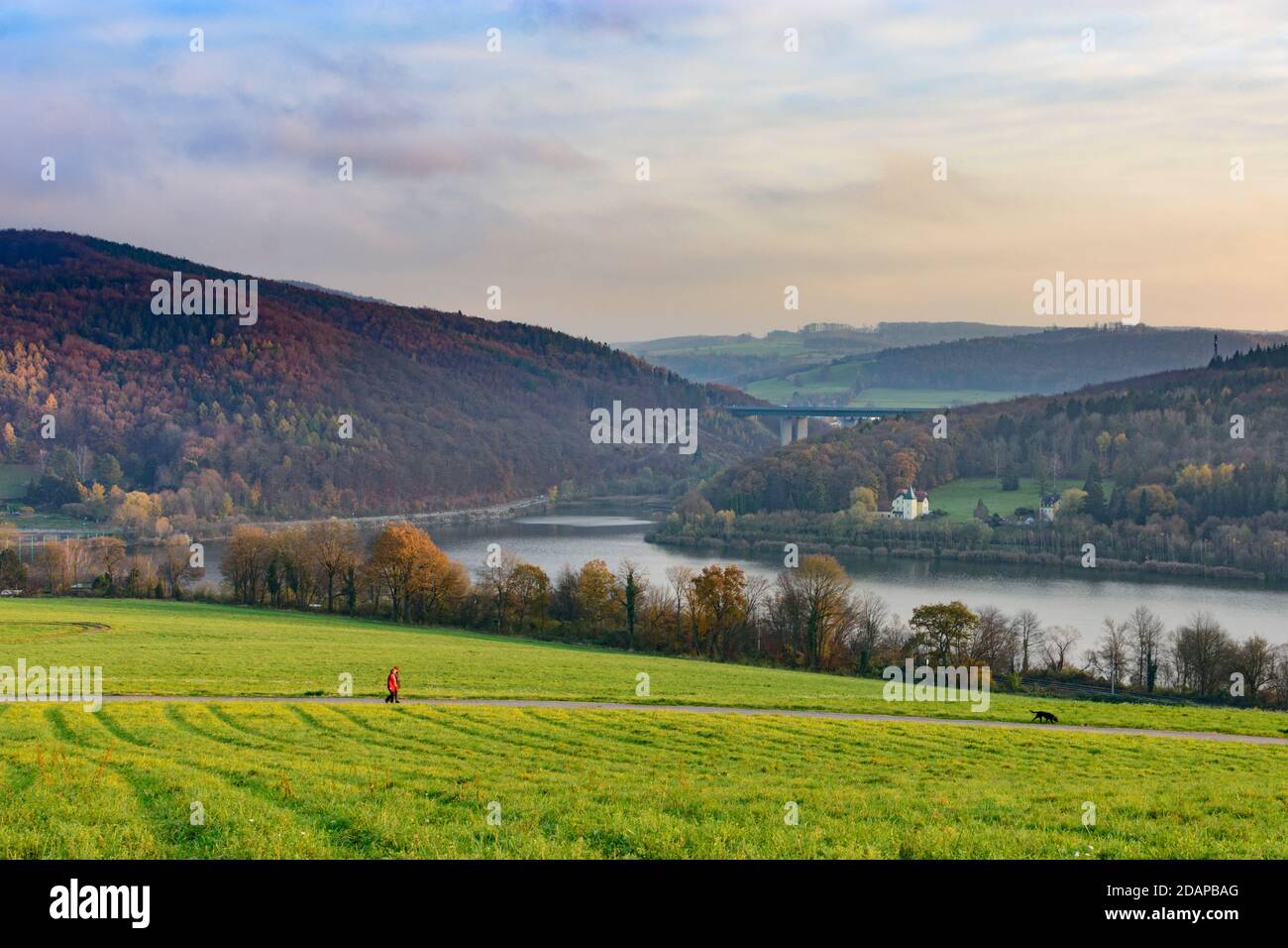 Tullnerbach: lago Wienerwaldsee, ponte autostradale, coppia, cane a Wienerwald, Bosco di Vienna, Niederösterreich, bassa Austria, Austria Foto Stock
