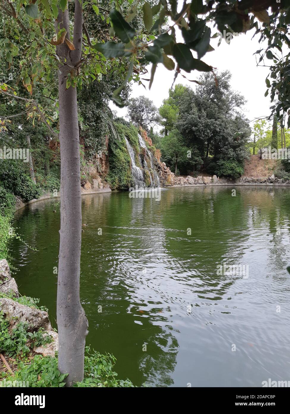 VISITA AL PARCO TORREBLANCA DI SANT JOAN DESPI UN GIORNO NUVOLOSO NEL MESE DI AGOSTO Foto Stock