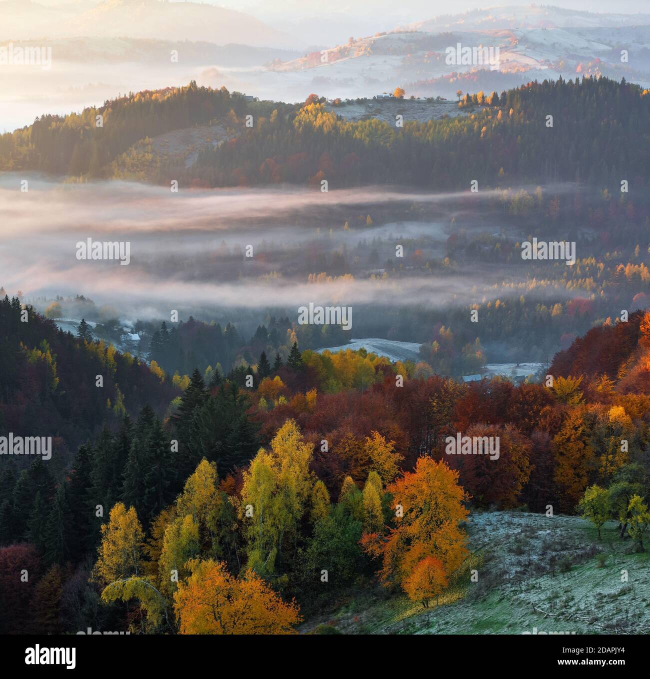 Splendido paesaggio rurale autunnale. Paesaggio con incredibili montagne, campi e foreste ricoperti di nebbia mattutina. Il prato è illuminato dai raggi solari Foto Stock