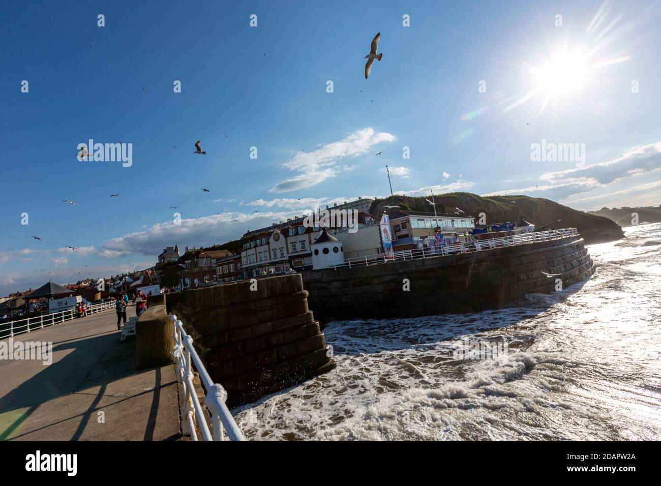 Whitby Harbour West, Whitby, North Yorkshire, Inghilterra, Regno Unito Foto Stock