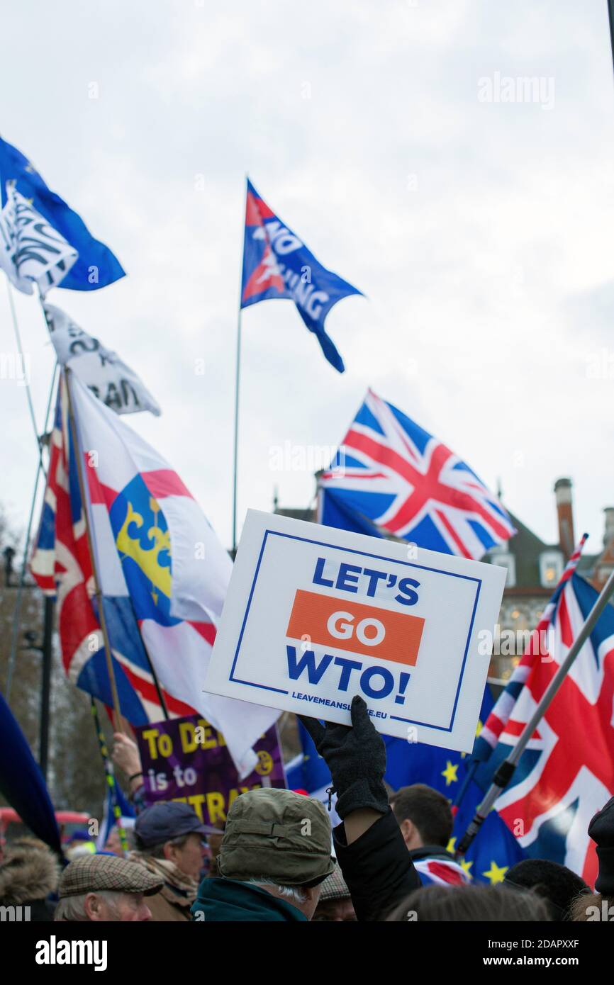 GRAN BRETAGNA / Inghilterra / Londra / attivista pro-Brexit Il cartello 'lascia andare l'OMC 'protestando al di fuori delle Camere del Parlamento Il 29 gennaio 2 Foto Stock