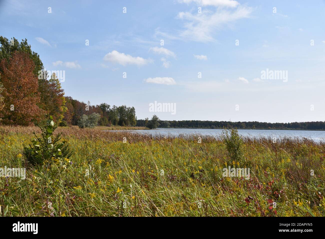 Cattura lo splendido paesaggio nella zona di gestione della fauna selvatica di Luther Marsh a Grand Valley, Ontario. Foto Stock