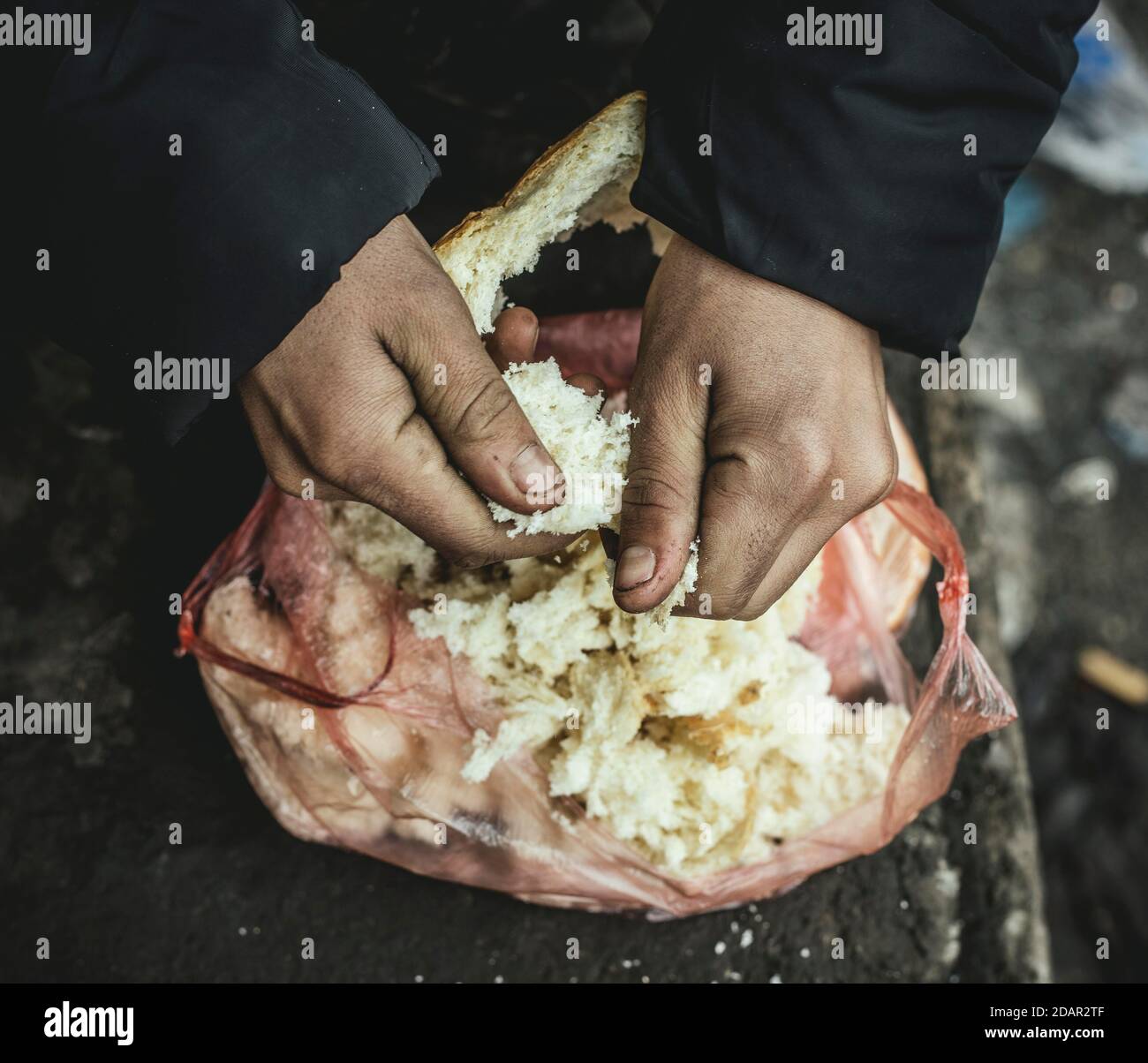 Uomo scappato strappa pane raffermo per un pasto, Belgrado, Serbia Foto Stock