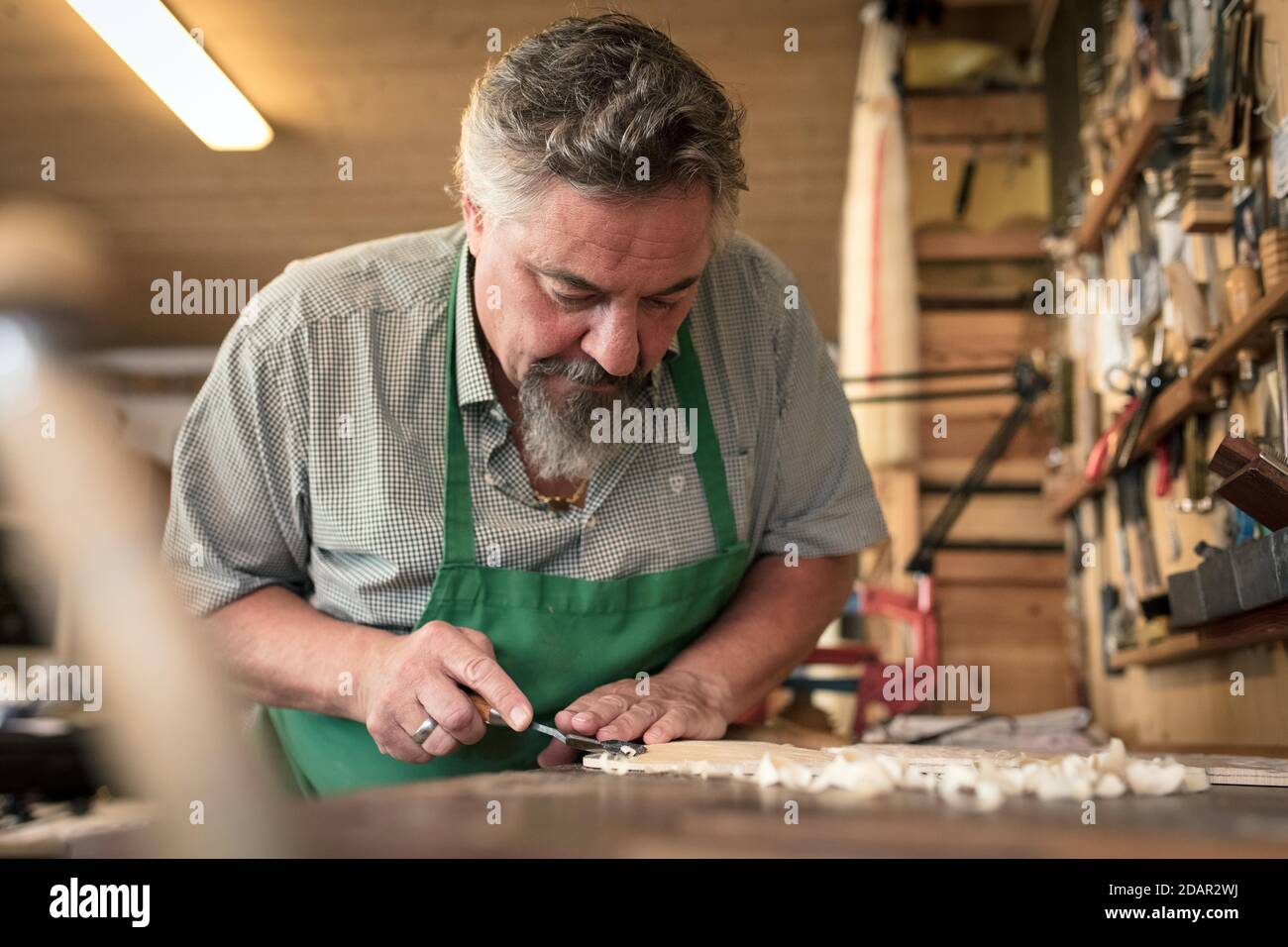 Lavori sul coperchio dello strumento, maestro luthier Rainer W. Leonhardt, Mittenwald, Baviera, Germania Foto Stock