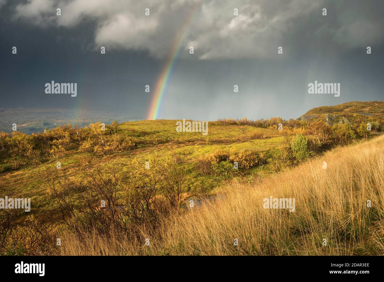 Temporale con doppio arcobaleno e drammatiche nuvole con erba gialla sulle colline in autunno, Nesna, Nordland, Norvegia Foto Stock