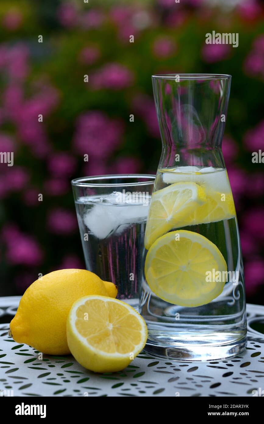 Acqua di limone in caraffa e limoni, Germania Foto Stock