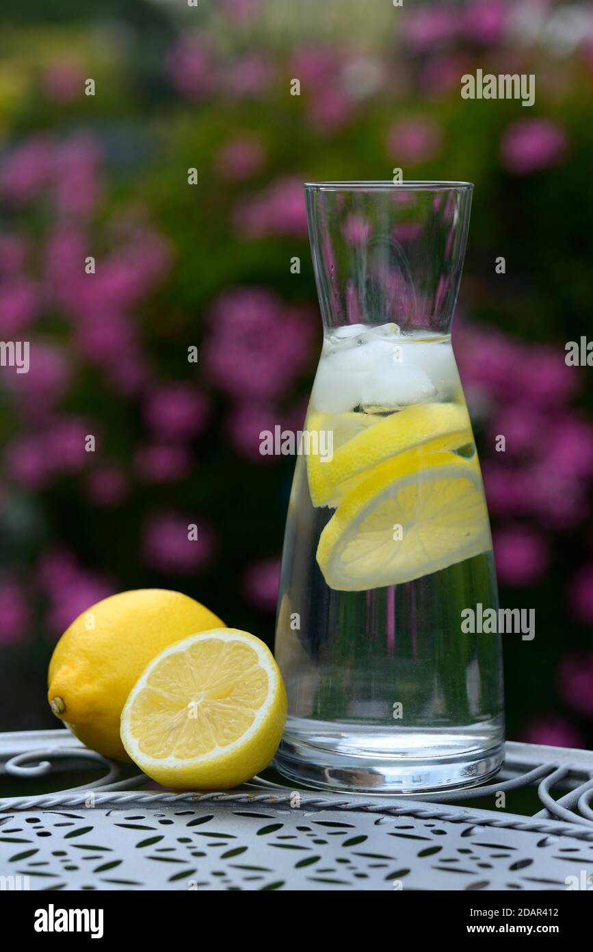 Acqua di limone in caraffa e limoni, Germania Foto Stock