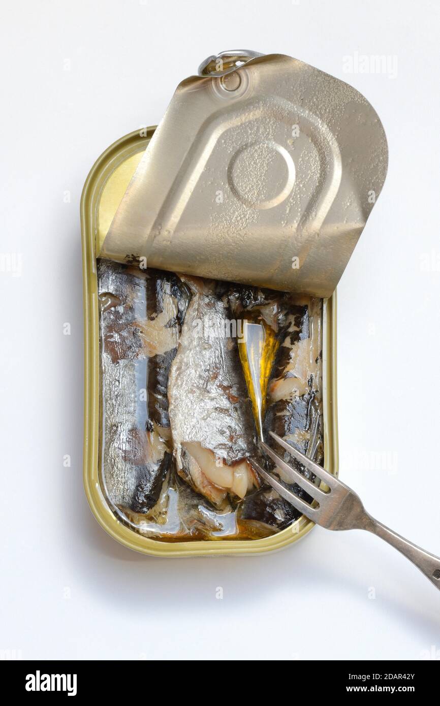 Sardine in stagno aperto con forchetta, sardine olio, Germania Foto Stock