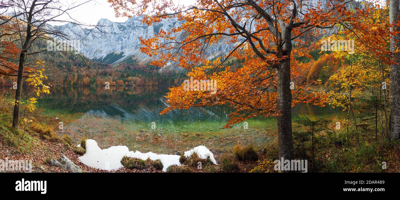 Foresta mista dai colori autunnali, Vorderer Langbathsee, vista panoramica, Salzkammergut, alta Austria, Austria Foto Stock