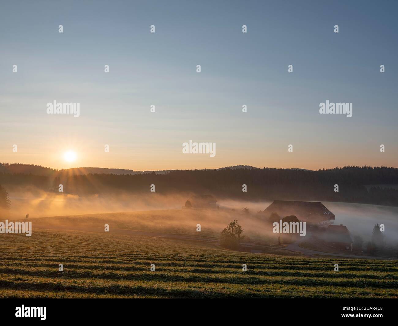 Alba sul Jostal, fattoria al sole del mattino, nebbia mattutina sui campi, Titisee - Neustadt, Hochschwarzwald, Foresta Nera Foto Stock