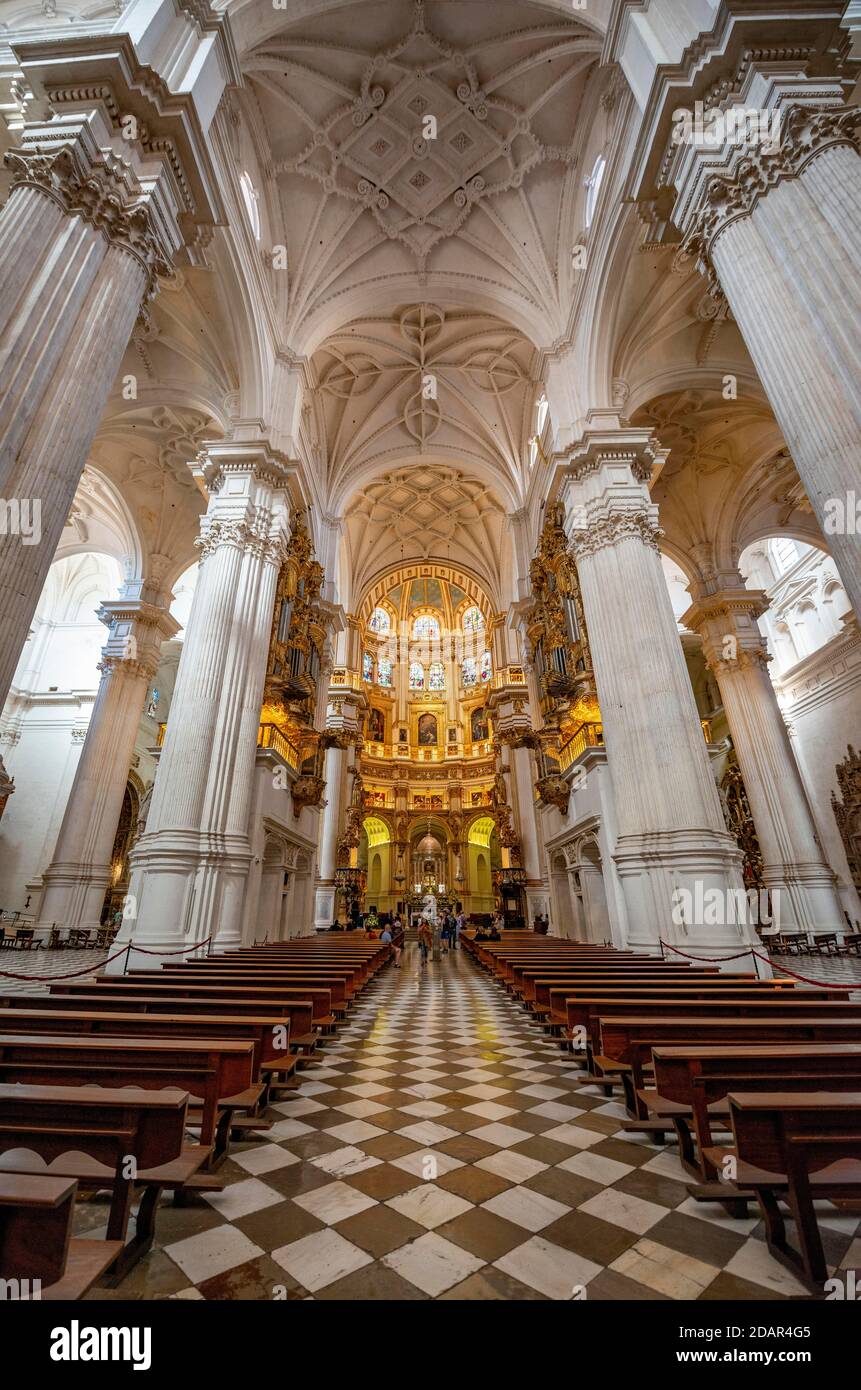 Cattedrale, interno con colonne bianche e coro dorato, soffitto decorato con stucco, Catedral de Granada, Granada, Andalusia Foto Stock