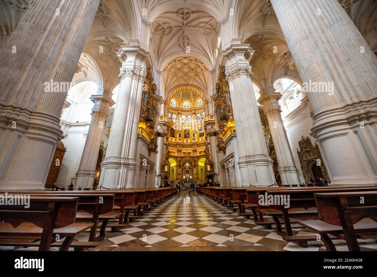 Cattedrale, interno con colonne bianche e coro dorato, soffitto decorato con stucco, Catedral de Granada, Granada, Andalusia Foto Stock