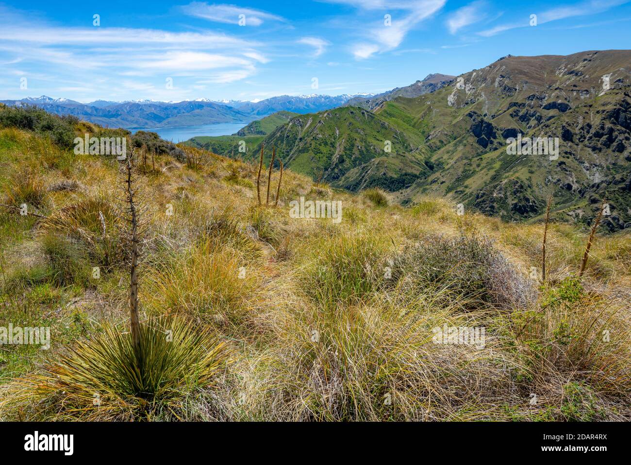 Vista dalla pista di montagna Grandview al lago, Lago Hawea, Alpi del Sud, Otago, Isola del Sud, Nuova Zelanda Foto Stock