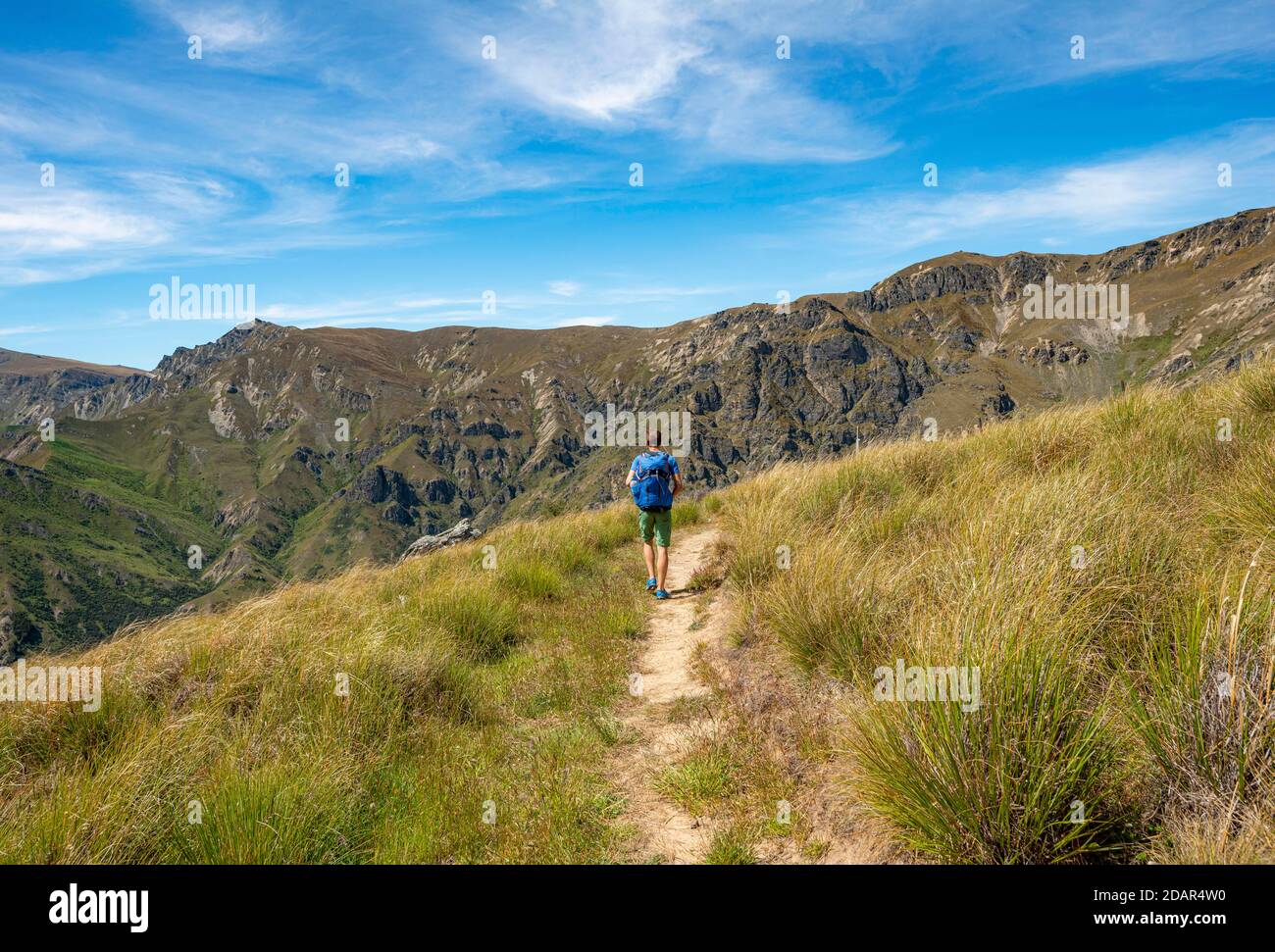 Escursionisti sul sentiero, Grandview Mountain Track, Lago Hawea, Alpi del Sud, Otago, Isola del Sud, Nuova Zelanda Foto Stock