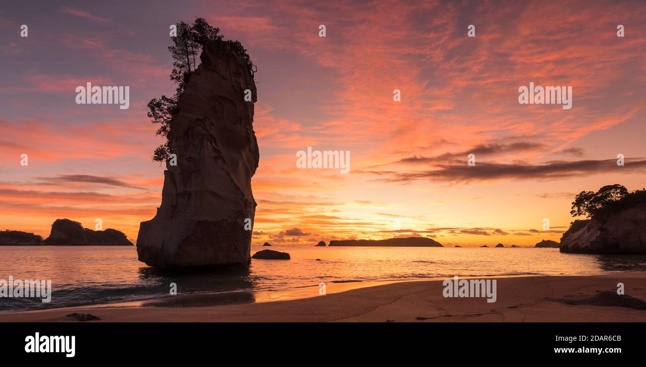 Cathedral Cove, Oceania, Cathedral Cove Marina Reserve, Coromandel Peninsula, Waitako, Isola del Nord, Nuova Zelanda Foto Stock