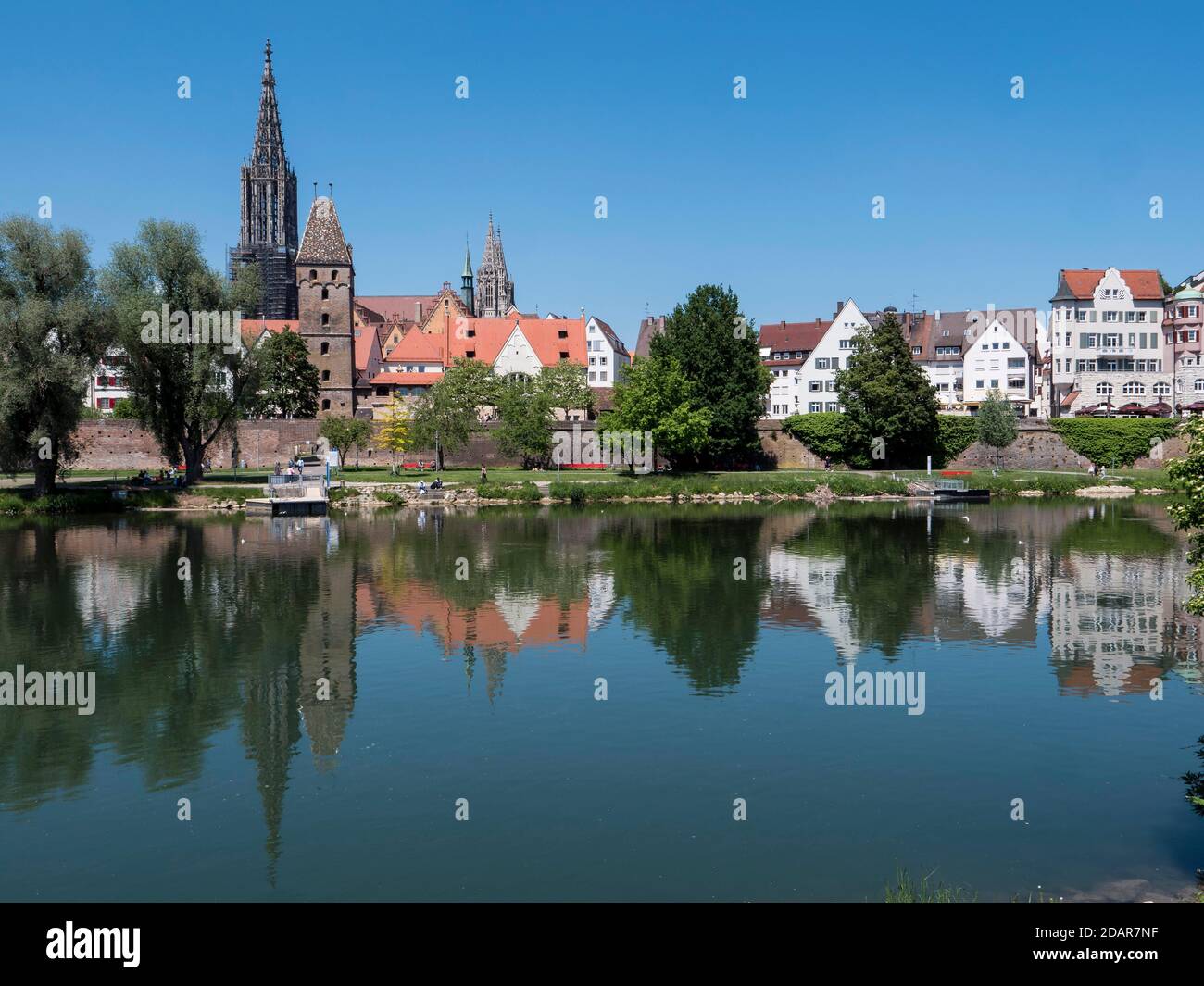 La Cattedrale di Ulm e gli edifici sulle rive del Danubio con riflessione d'acqua, Ulm, Baden-Wuerttemberg, Germania Foto Stock