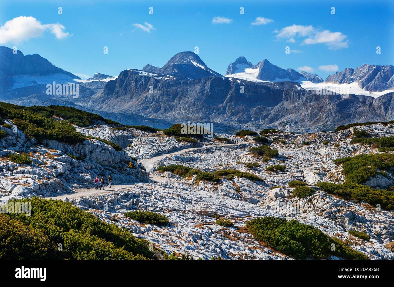 Sentiero circolare Heilbronn con vista su Hoher Dachstein, Dachstein massiccio, Krippenstein, Obertraun, Salzkammergut, alta Austria, Austria Foto Stock