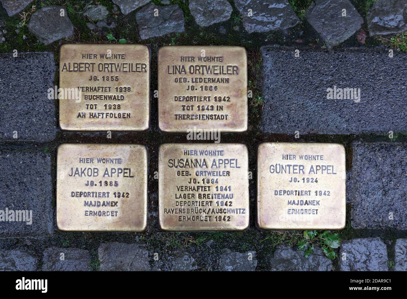 Pietre che inciampano in memoria degli ebrei deportati dai socialisti nazionali, di fronte al Ghettohaus am Bruehl, Weimar, Turingia, Germania Foto Stock