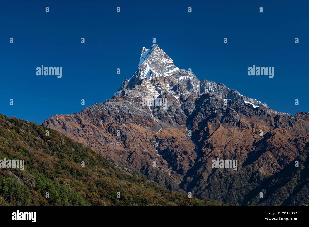 Machapuchare, Himalaya, coda di pesce, 6997m, montagna Santa, Mardi Himal, regione Annapurna, Nepal Foto Stock