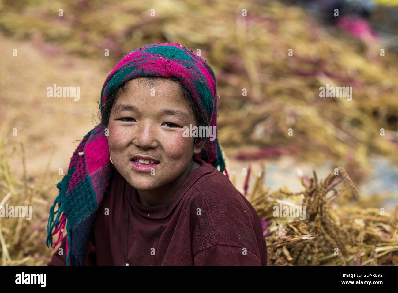 Una bambina seduta in un mucchio di miglio perla, regione di Manaslu, Himalaya, Nepal Foto Stock