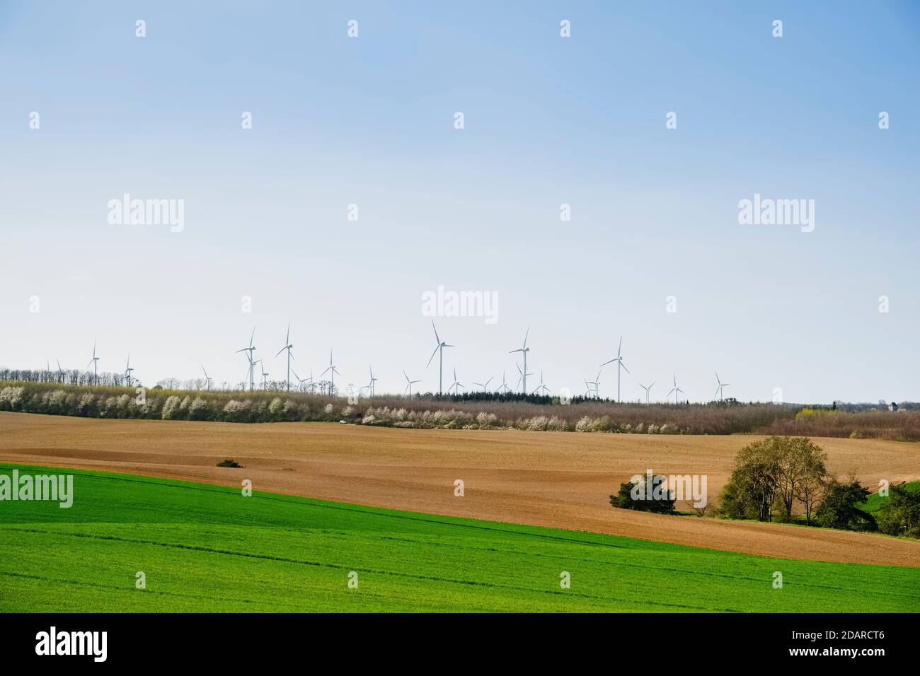 Turbine eoliche nei pressi di Praedikow, Brandeburgo, Germania Foto Stock