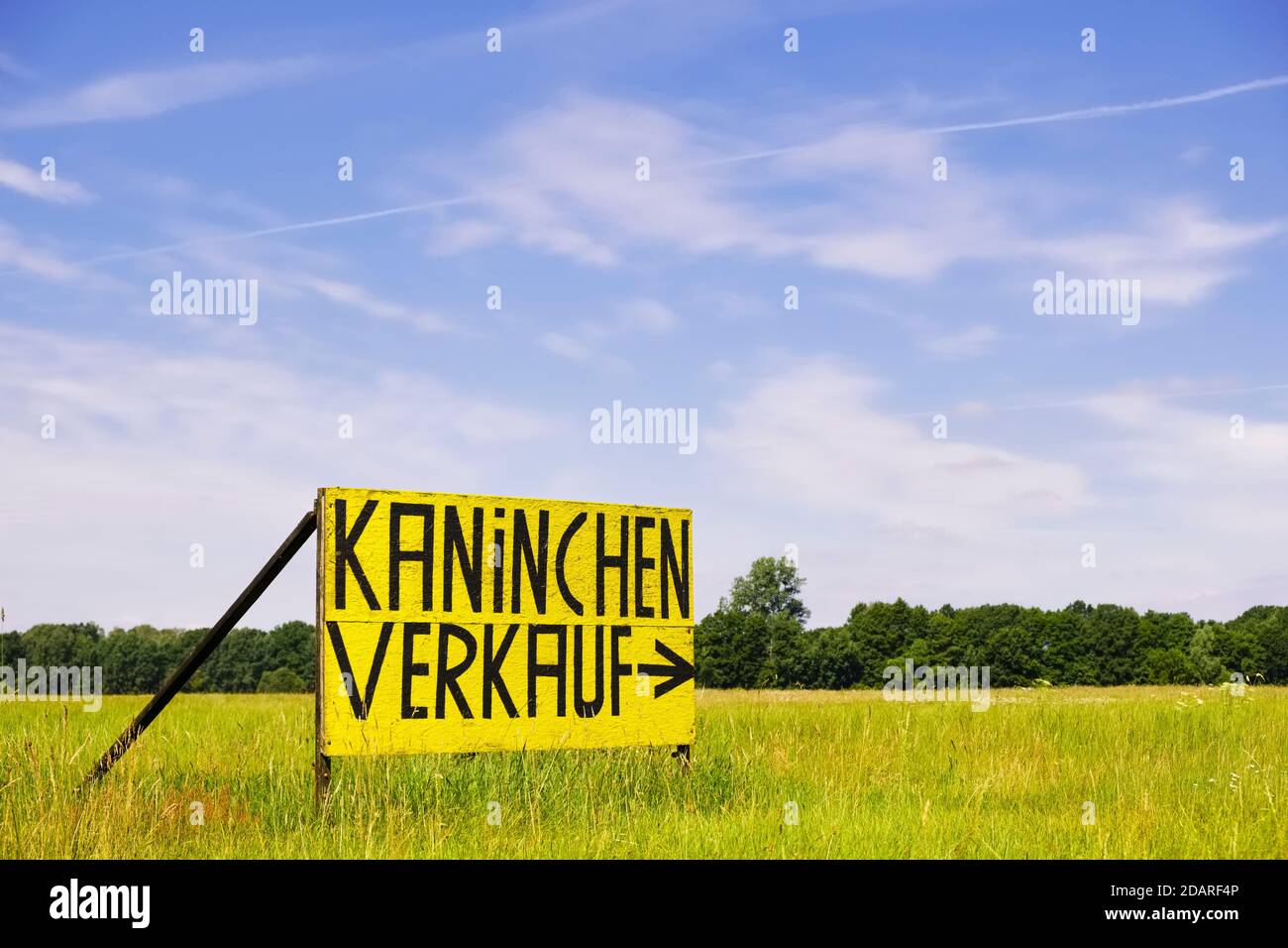 Cartello promozionale vicino a Ludwigslust, Meclemburgo-Pomerania occidentale, Germania Foto Stock