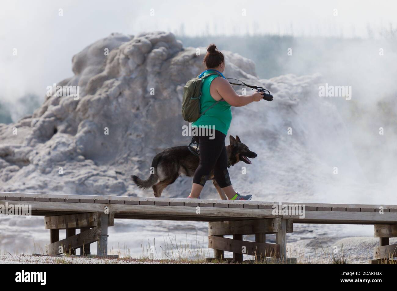Un visitatore con un cane in servizio cammina attraverso il castello Geyser lungo l'Upper Geyser Basin Trail nel Yellowstone National Park, Wyoming lunedì 3 agosto 20 Foto Stock