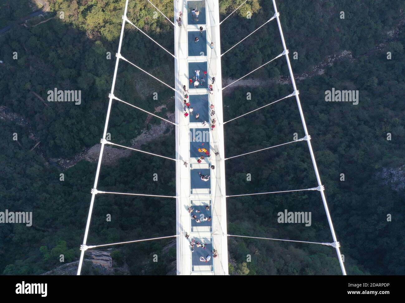 Zhangjiajie. 14 novembre 2020. La foto aerea scattata il 14 novembre 2020 mostra i turisti che si godono su un ponte con fondo in vetro al Grand Canyon Zhangjiajie, la provincia di Hunan della Cina centrale. Gli sport all'aperto nei primi mesi invernali hanno attirato molti visitatori qui. Credit: WU Yongbing/Xinhua/Alamy Live News Foto Stock