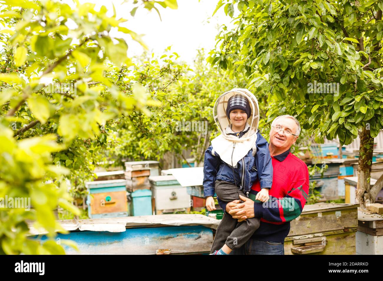 nonno e nipote dell'apicoltore esaminano un alveare di api Foto Stock