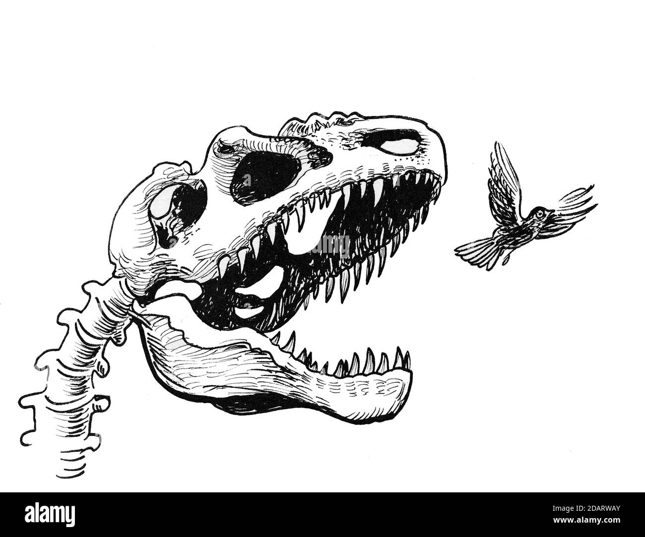 Tyrannosaurus Rex scheletro a caccia di un piccolo uccello. Disegno in bianco e nero con inchiostro Foto Stock