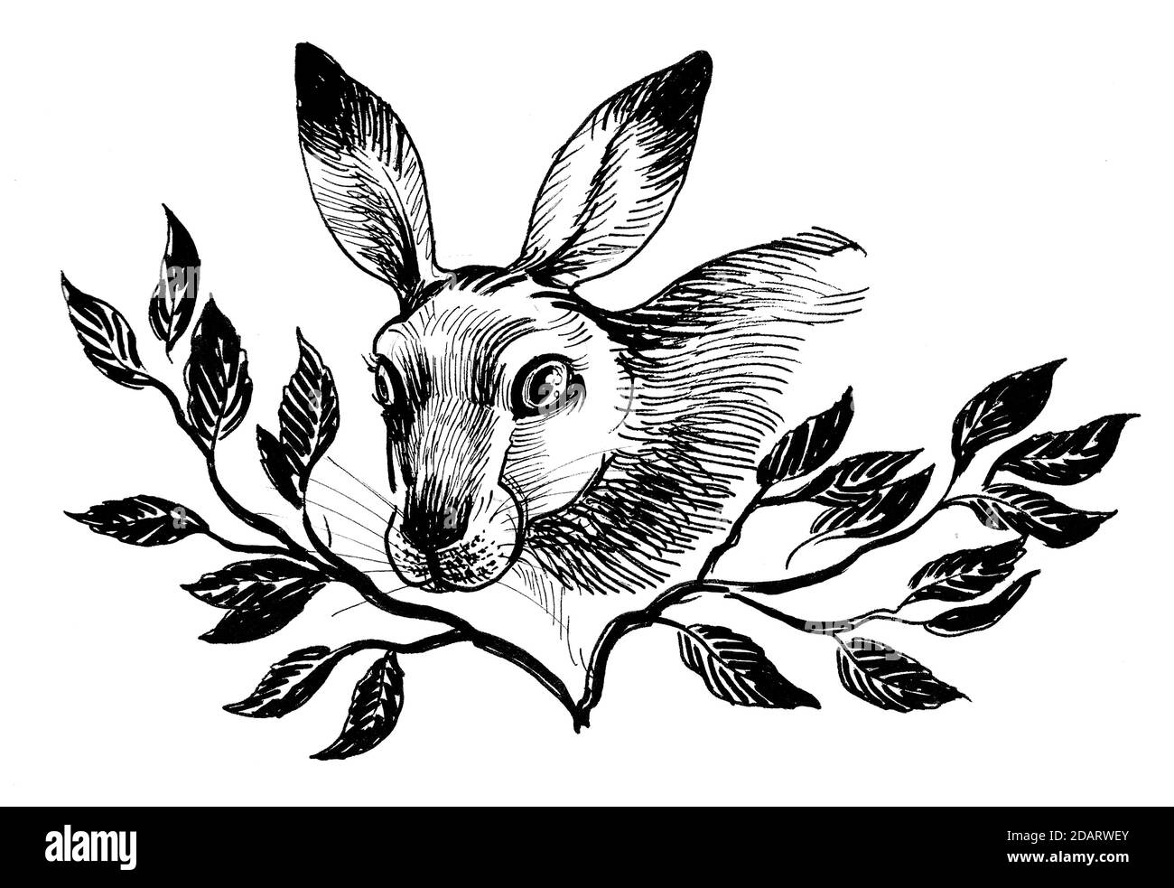 Lepre animale nei cespugli. Disegno in bianco e nero con inchiostro Foto Stock