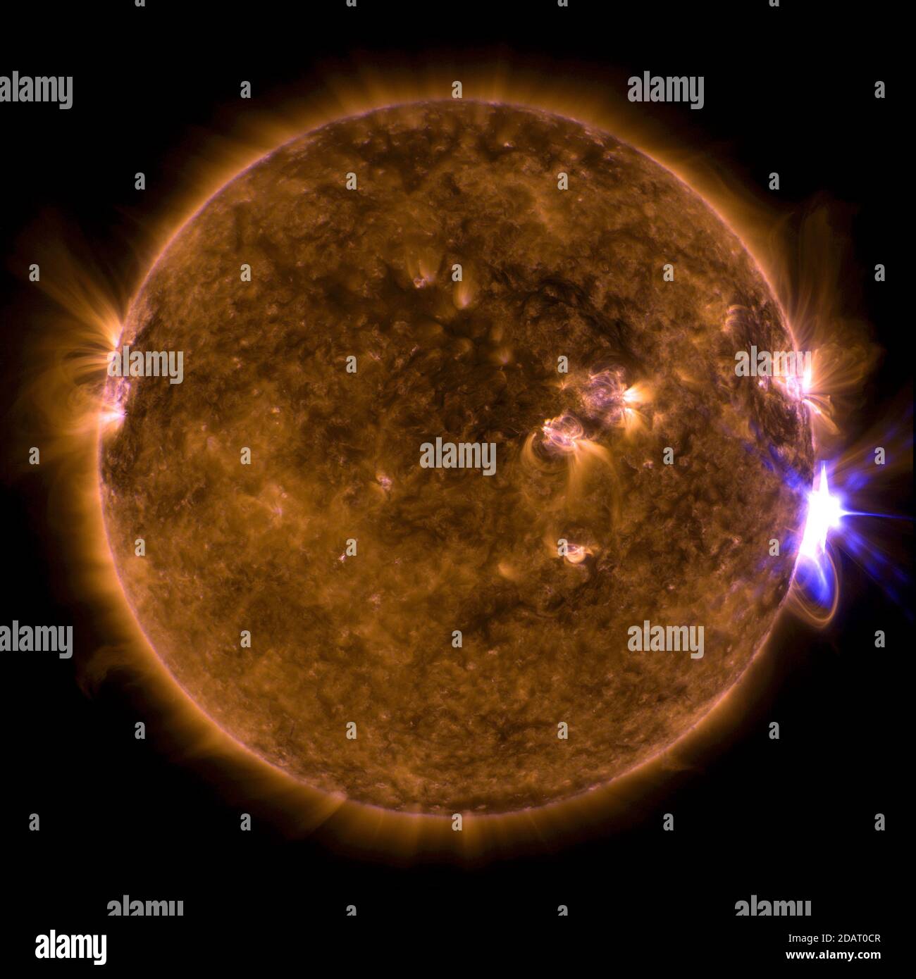 THE SUN - 10 settembre 2017 - NASA's Solar Dynamics L'osservatorio ha catturato questa immagine di un flare solare – come visto nel luminoso flash sul lato destro – Foto Stock
