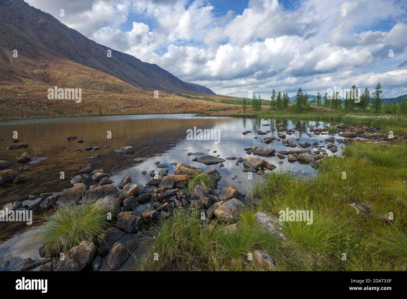 Ai piedi della catena montuosa Rai Iz in un giorno di agosto. Urali polari. YaNAO, Russia Foto Stock