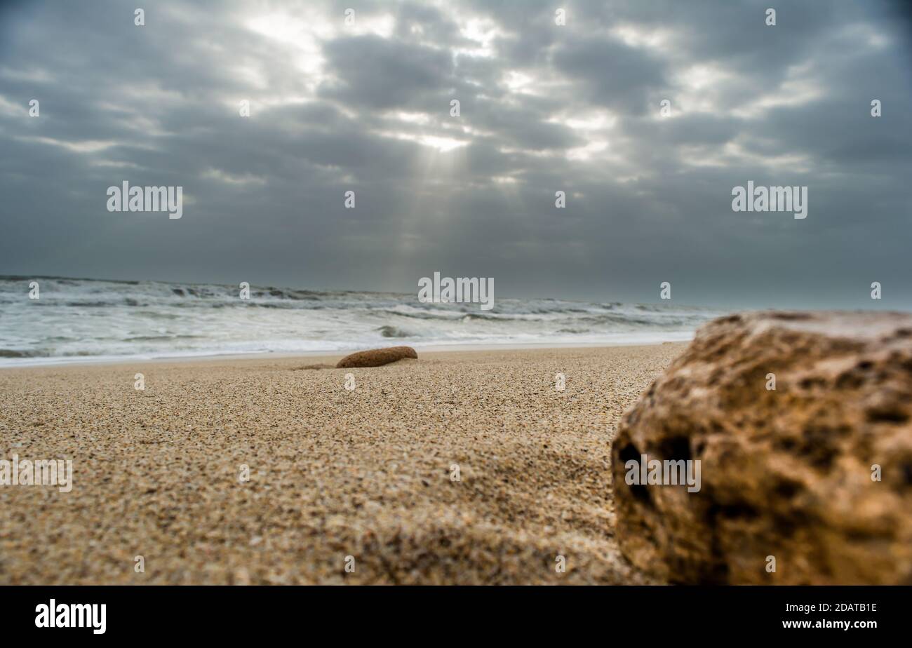 corallo e conchiglia di mare sulla spiaggia di somnath tempio di Somnath Gujarat India Foto Stock