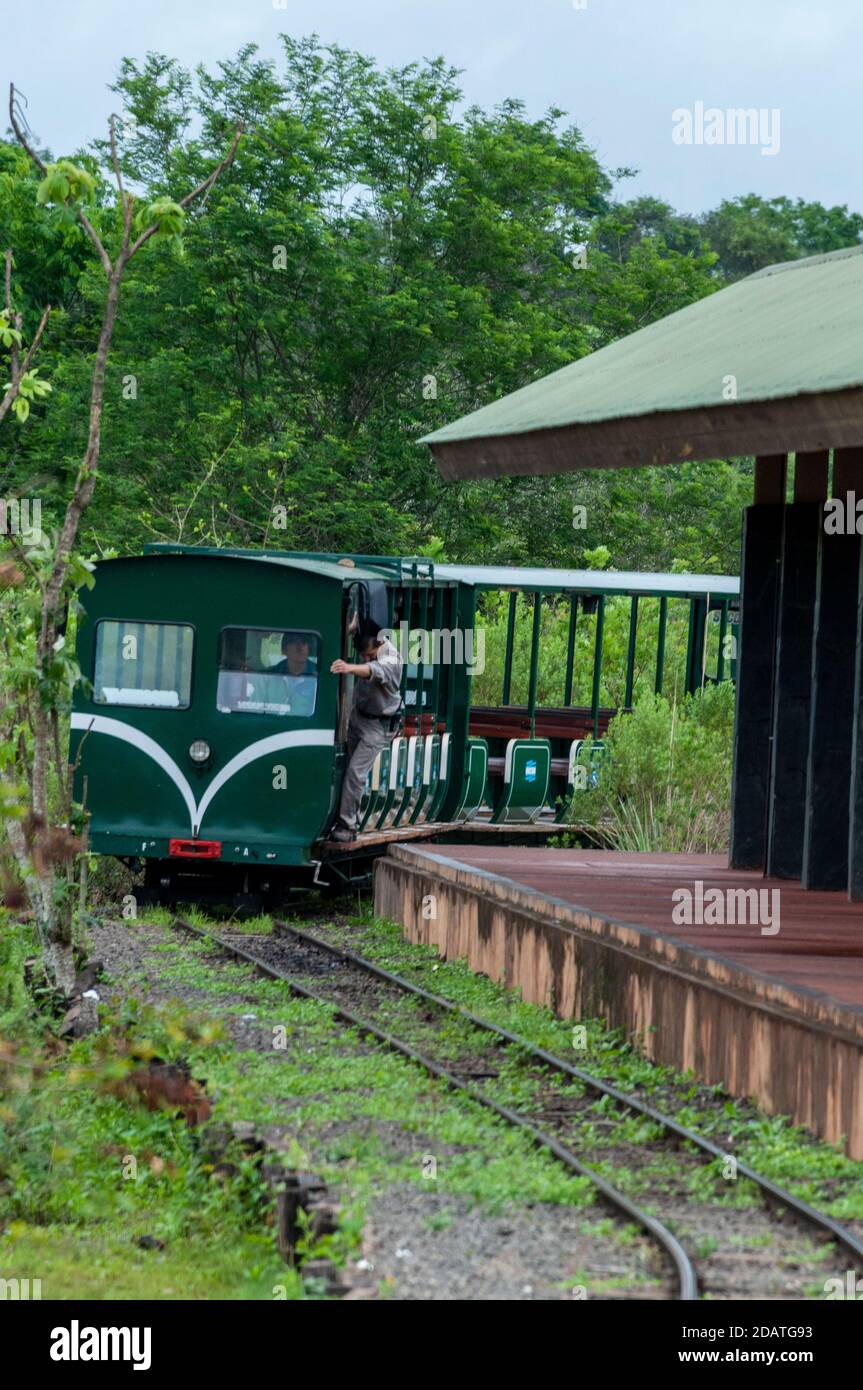 Il treno della giungla (treno ecologico della foresta pluviale) che trasporta i passeggeri, che si avvicina alla stazione centrale nel Parco Nazionale di Iguazu in Argentina. Il piccolo Foto Stock