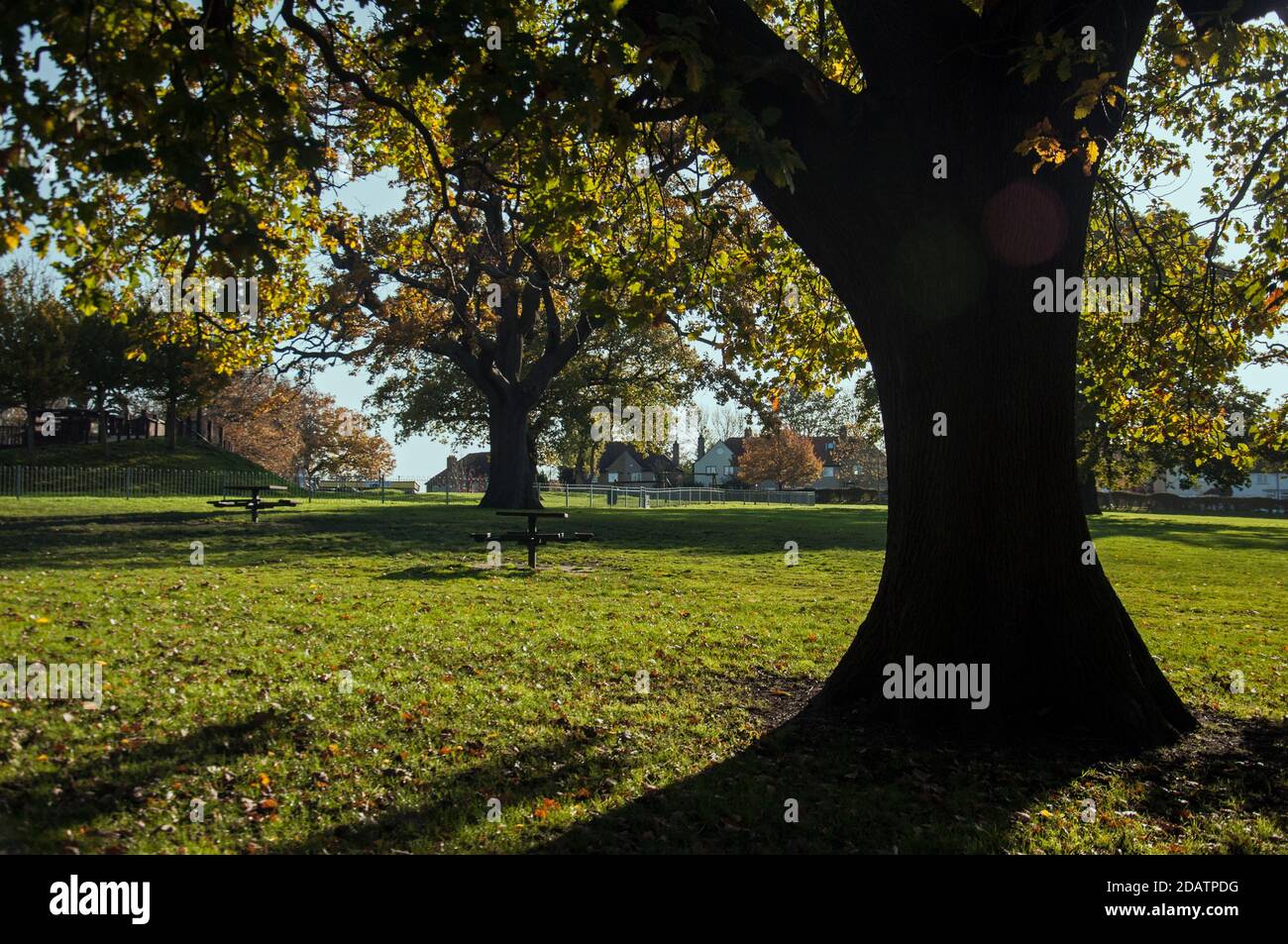 Alberi e piccoli tavoli da picnic rotondi nel parco Nest Norwood Nel sud di Londra Foto Stock