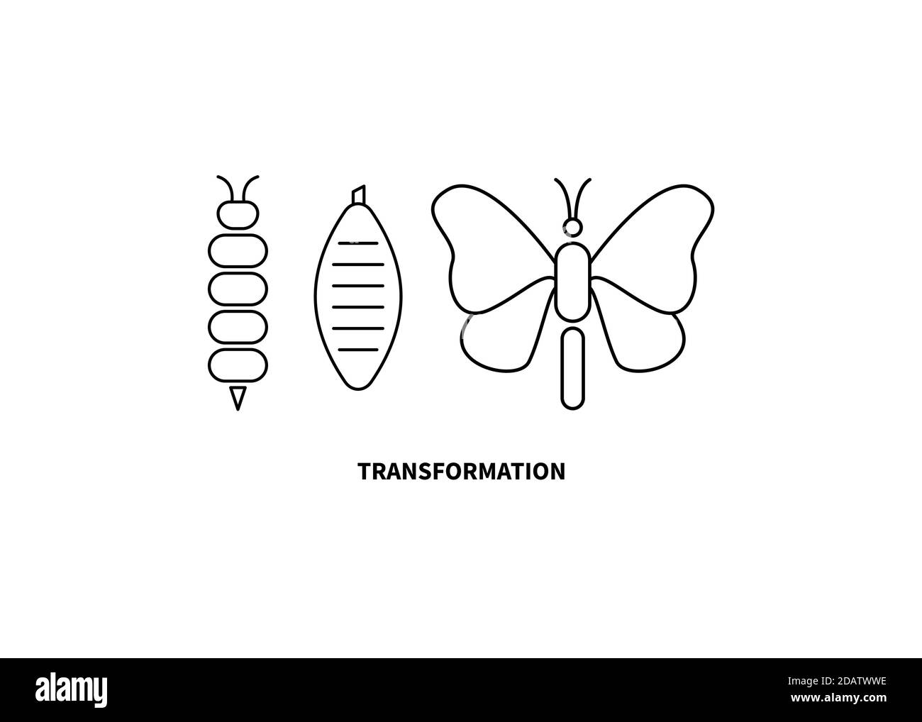 Concetto di trasformazione. Tavole Caterpillar, a farfalla e bozzolo Illustrazione Vettoriale