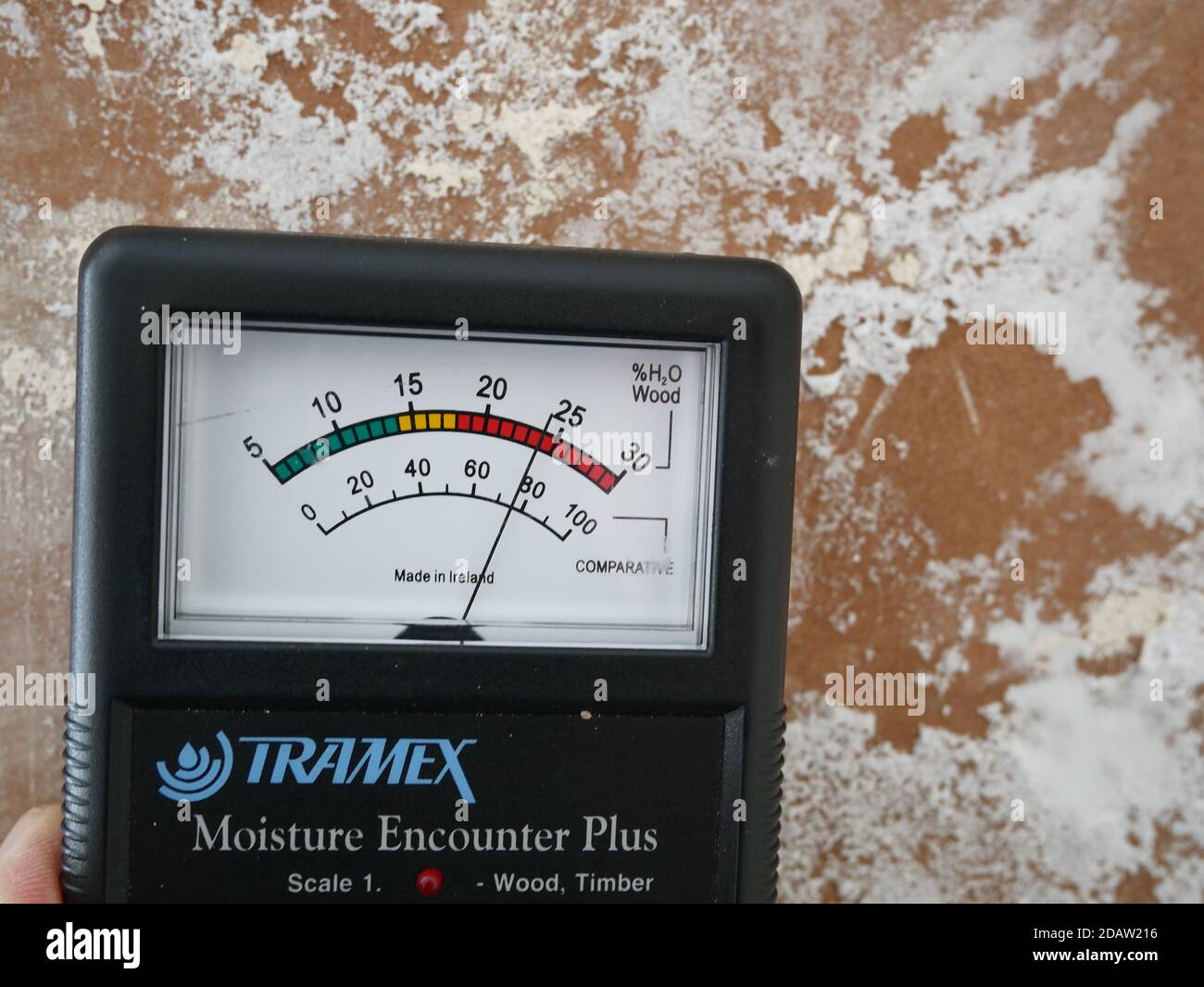 Lettura del misuratore Tramex Moisture Encounter Plus dalla parete in muratura che indaga i problemi di umidità. Foto Stock