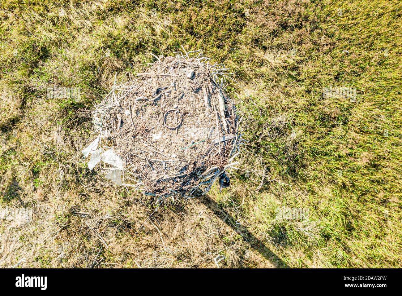 Vista aerea di un nido Osprey a Sag Harbour, NY Foto Stock