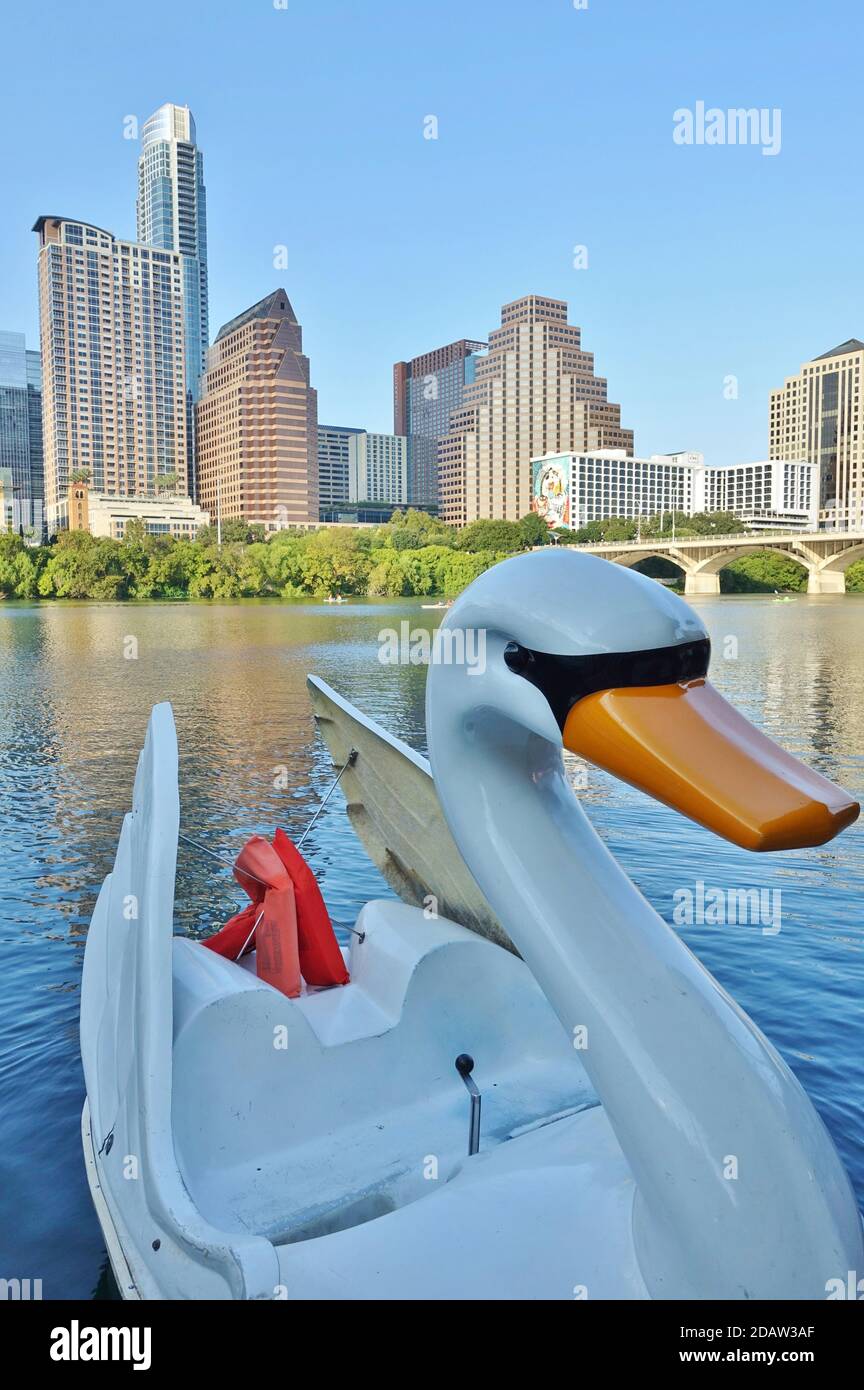 AUSTIN, TX -18 SET 2020- Vista delle pedalò di cigno sul lago Lady Bird nel centro di Austin, Texas, Stati Uniti. Foto Stock