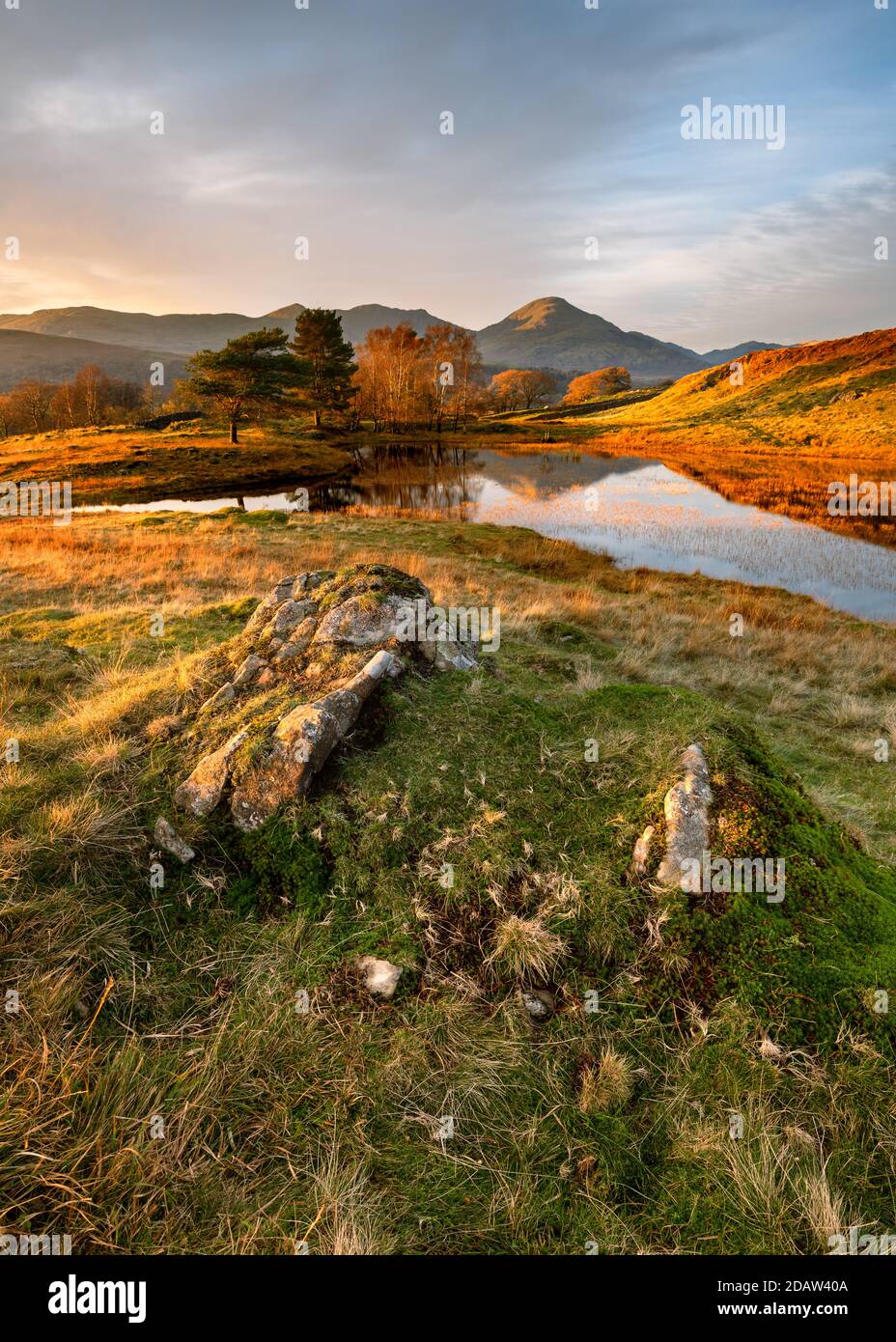 Splendidi colori autunnali con luce solare serale a Kelly Hall Tarn nel Lake District, Regno Unito. Foto Stock