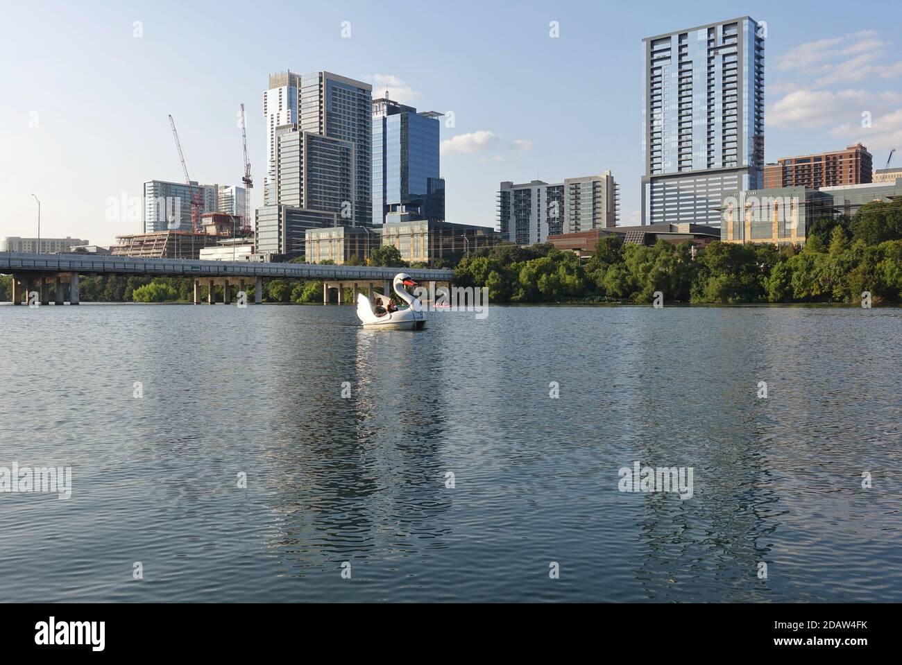 AUSTIN, TX -18 SET 2020- Vista delle pedalò di cigno sul lago Lady Bird nel centro di Austin, Texas, Stati Uniti. Foto Stock