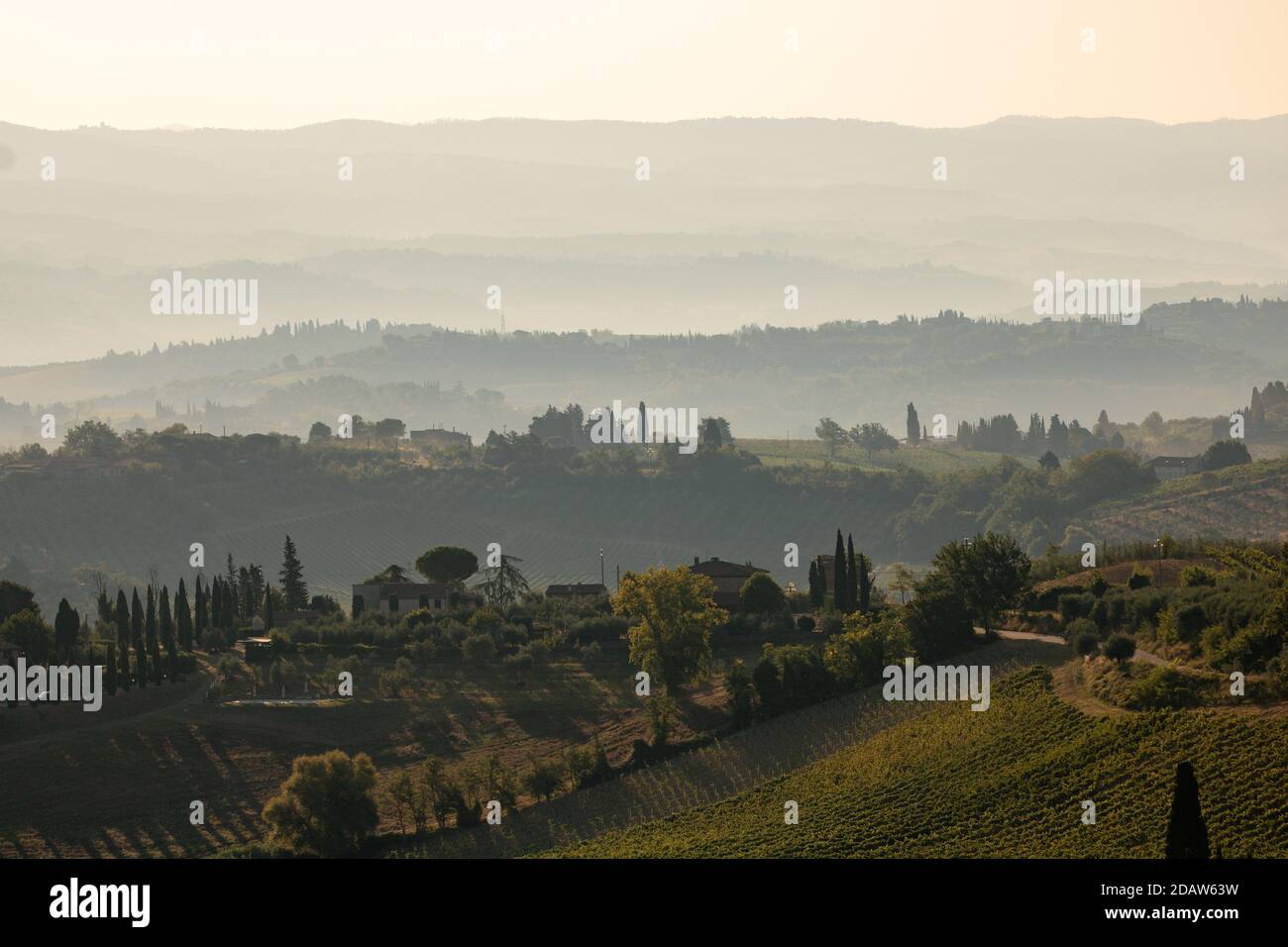 Campagna idilliaca in Toscana, Italia Foto Stock