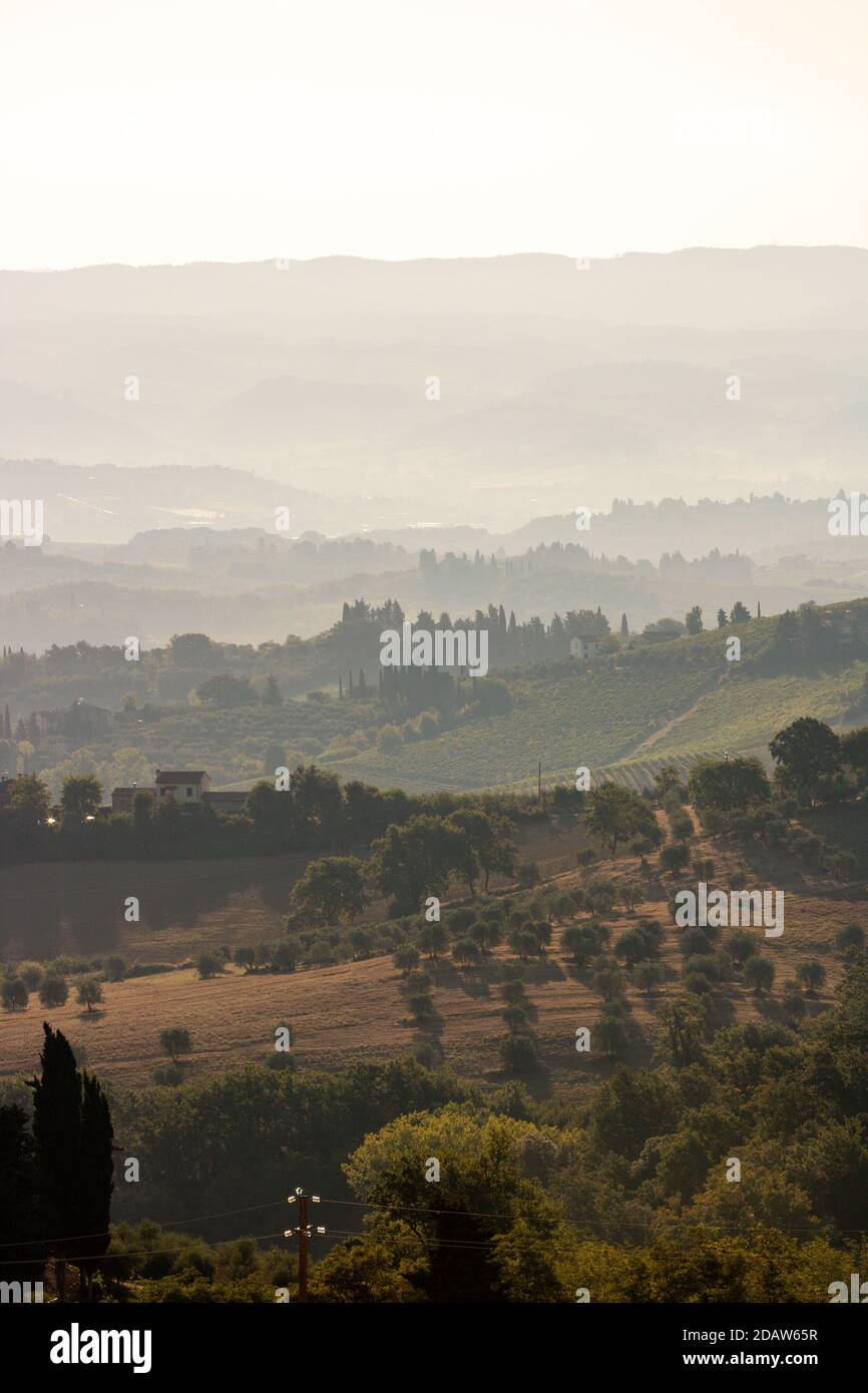 Campagna idilliaca in Toscana, Italia Foto Stock